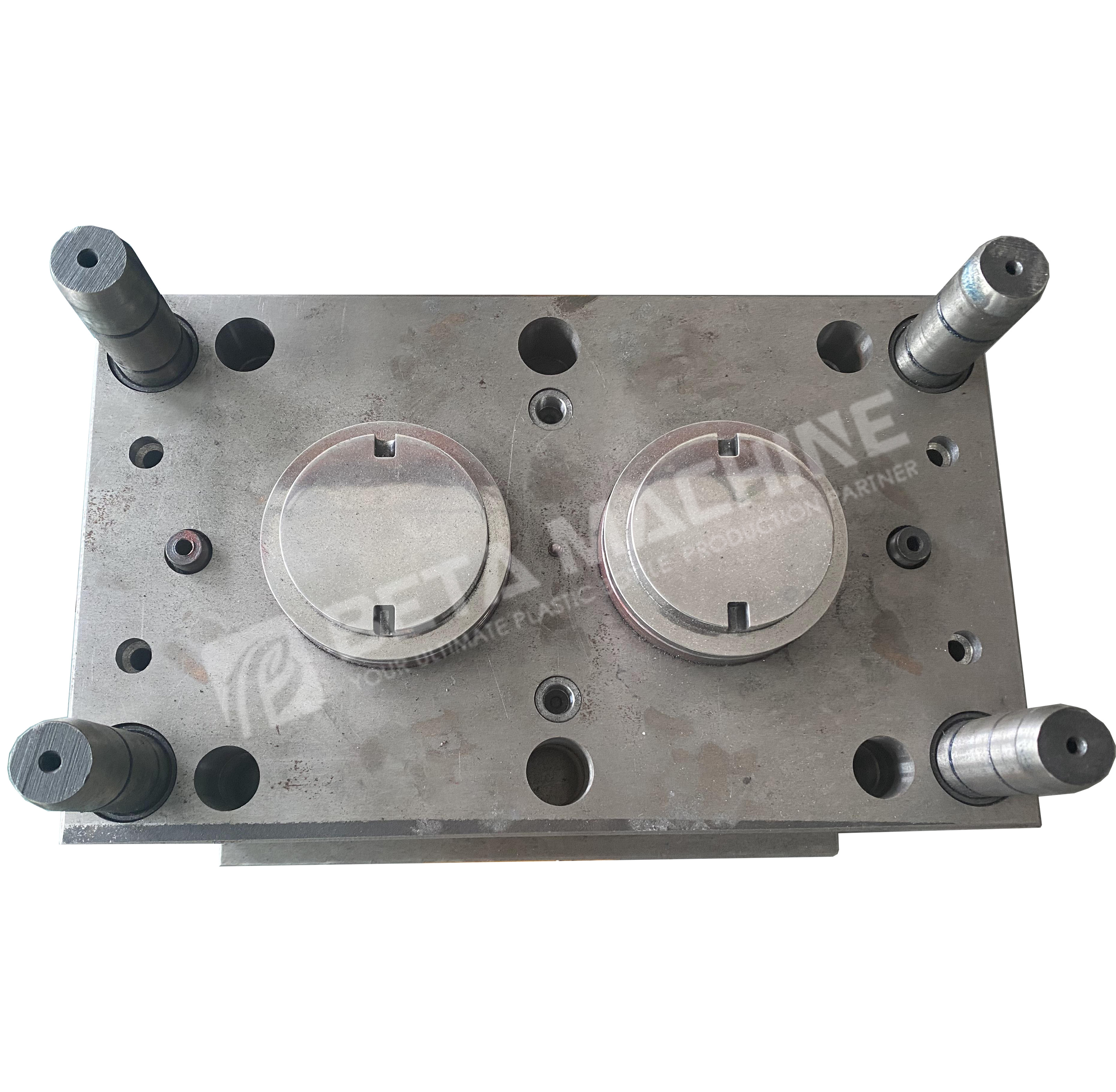 2 Cavity Plastic Cap Mold